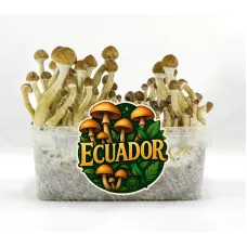 Споры принты Ecuador