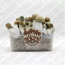 Споры принты Melmac Thrasher