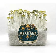 Споры принты Mixicana