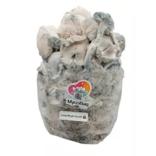 Споры принты Long White Cloudz de Mycobag