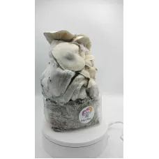 Споры принты Whitebilly